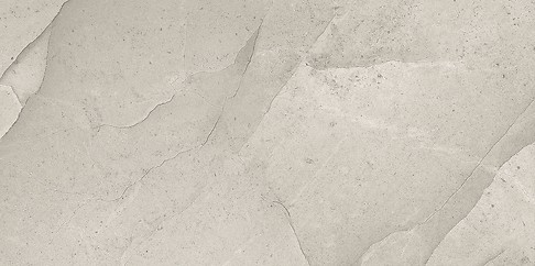 ARENARIO GREY POLISHED RECT 60X120 G1